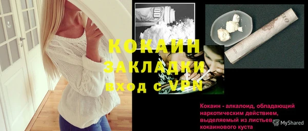 сатива Покачи