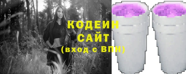 сатива Покачи