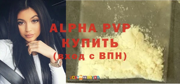 сатива Покачи