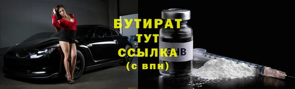 сатива Покачи