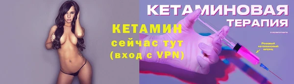 сатива Покачи