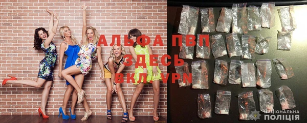 сатива Покачи