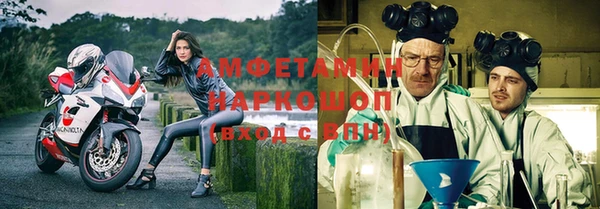 сатива Покачи