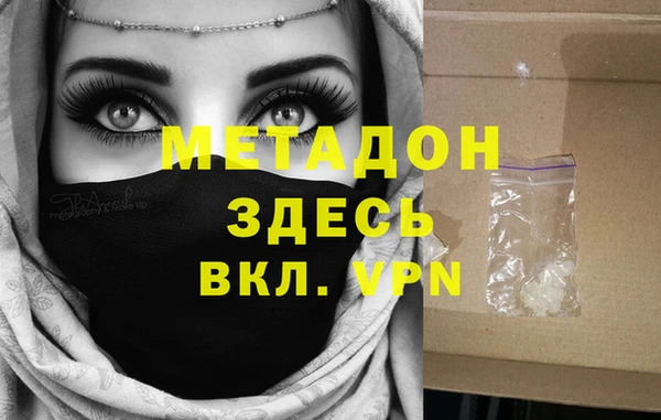 сатива Покачи
