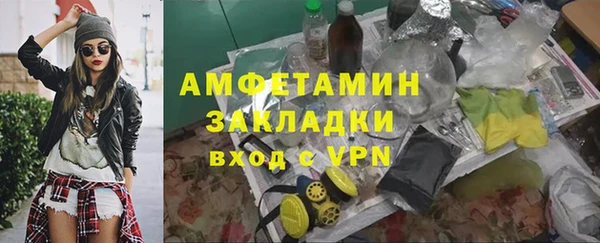 сатива Покачи