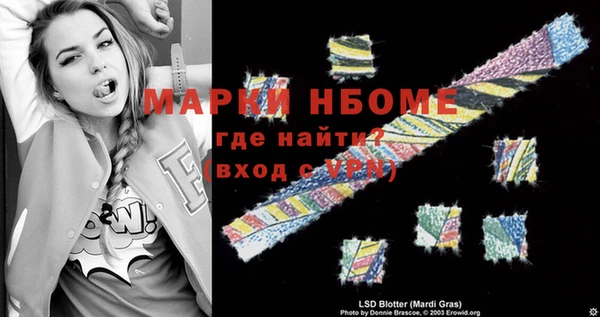 сатива Покачи