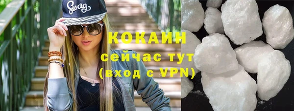 сатива Покачи