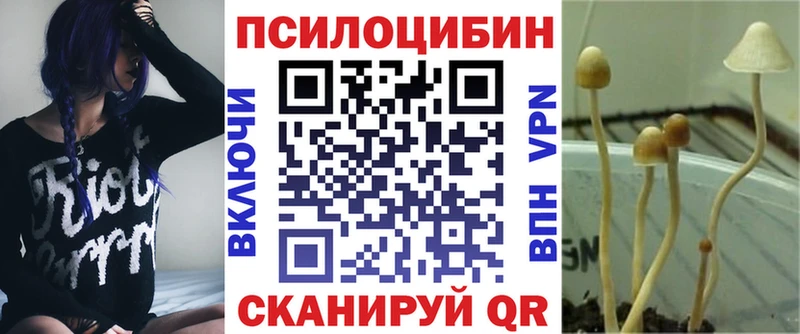 Галлюциногенные грибы мухоморы цена Струнино